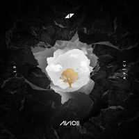 Avicii, Rita Ora: Lonely Together