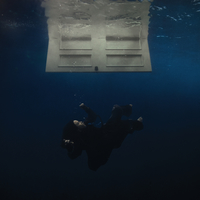 Billie Eilish: Birds Of A Feather